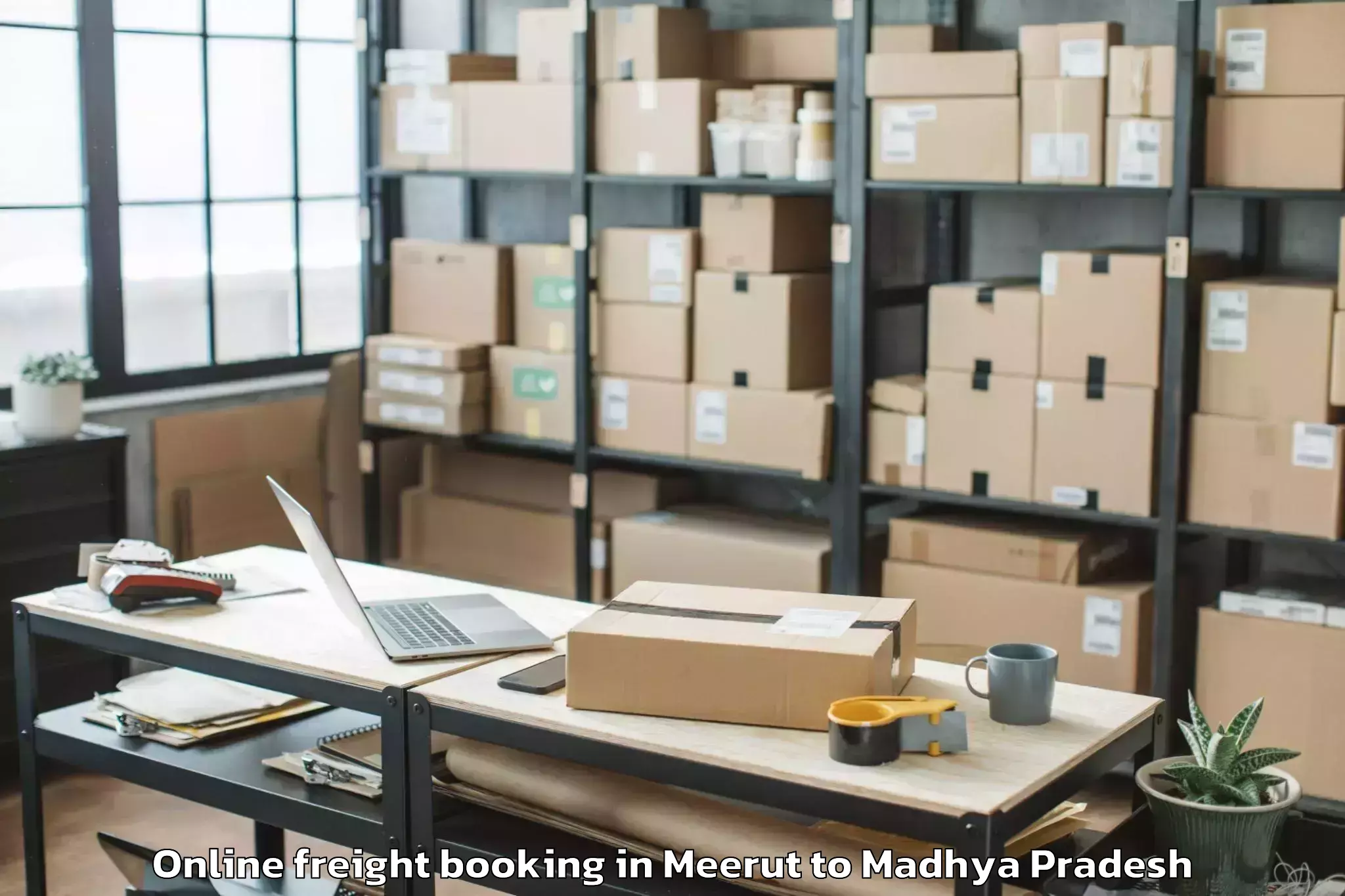 Top Meerut to Dhamnod Online Freight Booking Available